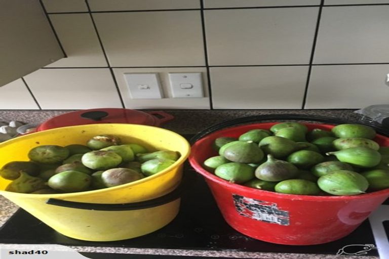 Photo of property in 70 Westhead Road, Pollok, Waiuku, 2683