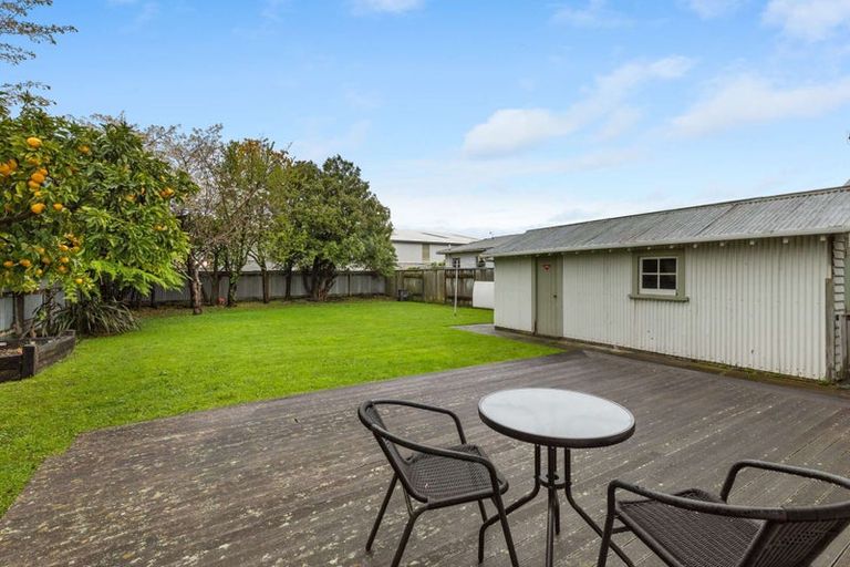 Photo of property in 44 Miro Street, Takaro, Palmerston North, 4410