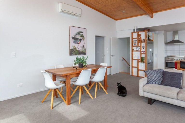 Photo of property in 113 Elsinore Close, Whangamata, 3620