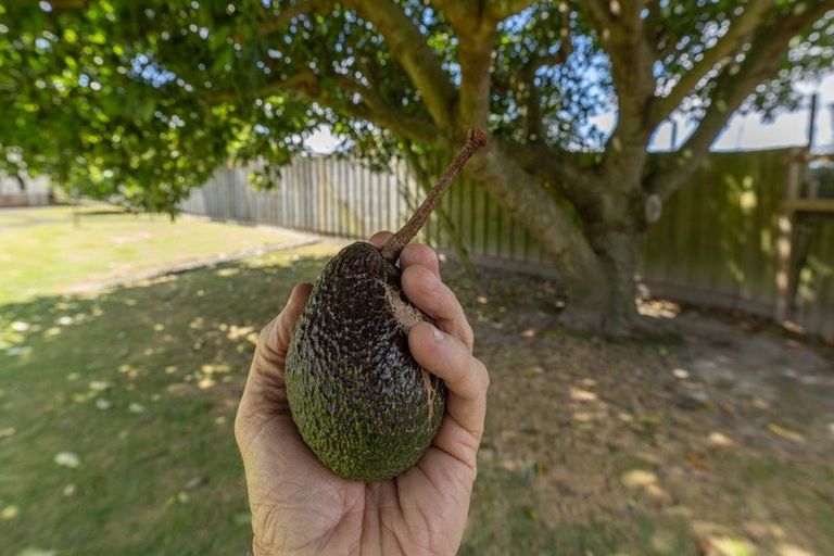 Photo of property in 42 Great South Road, Huntly, 3700