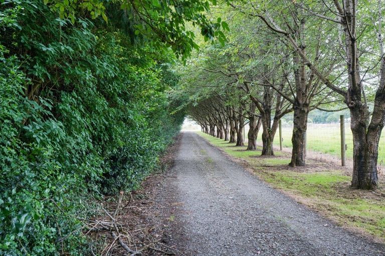 Photo of property in 644 Ryal Bush Wallacetown Road, Wallacetown, Invercargill, 9874