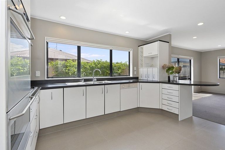 Photo of property in 32 Hastings Place, Hamilton Lake, Hamilton, 3204