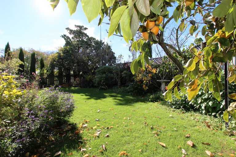 Photo of property in 2 Bank Street, Springlands, Blenheim, 7201