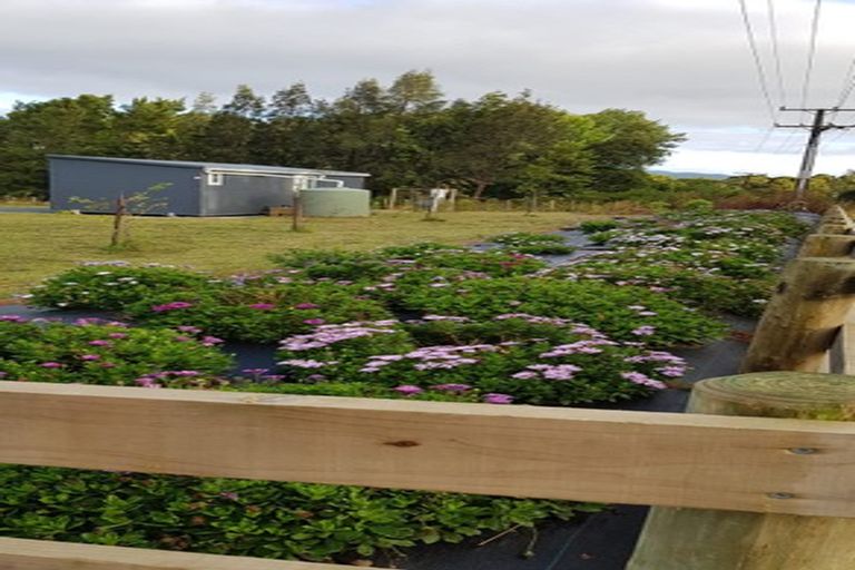 Photo of property in 757 Settlement Road, Hakaru, Wellsford, 0975