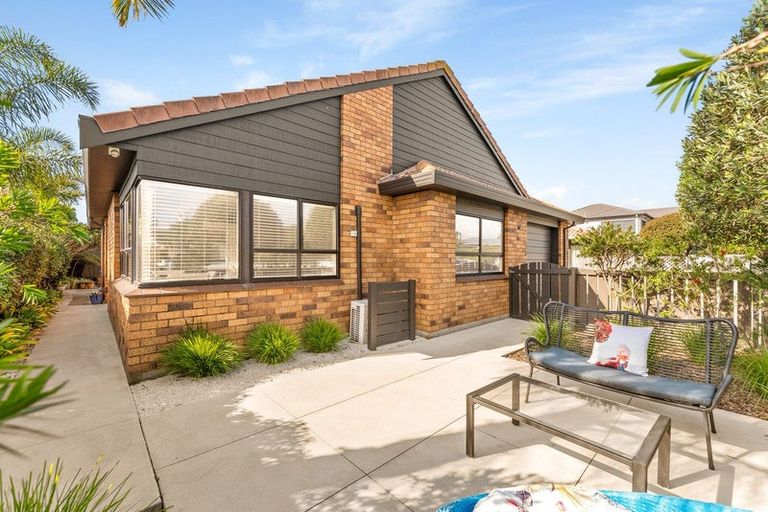 Photo of property in 61 Campbell Road, Mount Maunganui, 3116
