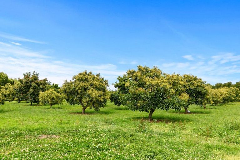 Photo of property in 718 Old Coach Road, Pongakawa, Te Puke, 3186