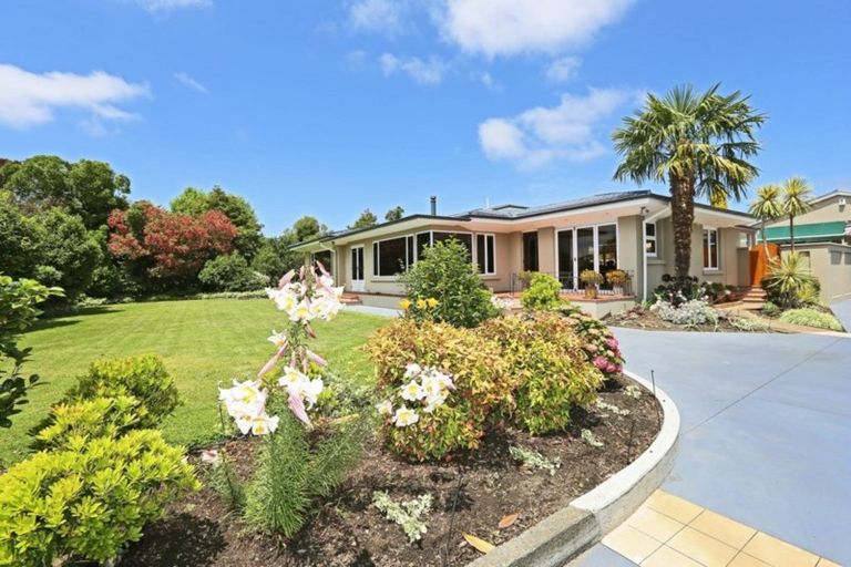 Photo of property in 1229 Ada Street, Parkvale, Hastings, 4122