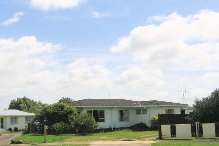 Photo of property in 12 Gummer Place, Morrinsville, 3300