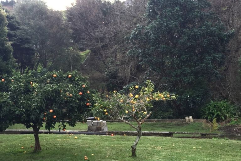 Photo of property in 9 Barrier View Road, Leigh, 0985