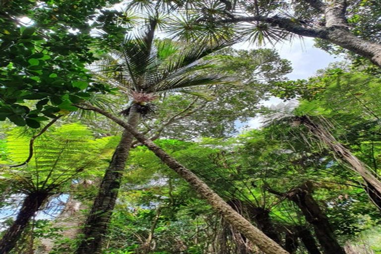 Photo of property in 204 Oyster Point Road, Kaukapakapa, Warkworth, 0984