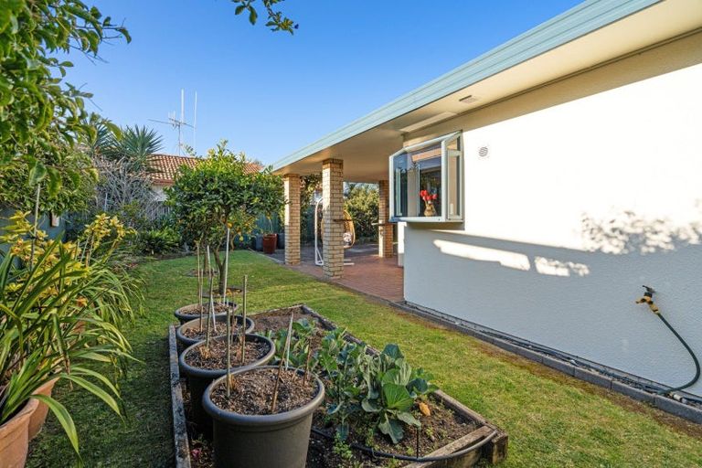 Photo of property in 38 Corinth Grove, Papamoa Beach, Papamoa, 3118