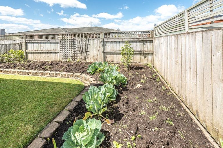 Photo of property in 6 Kelsi Street, Tawhero, Whanganui, 4501