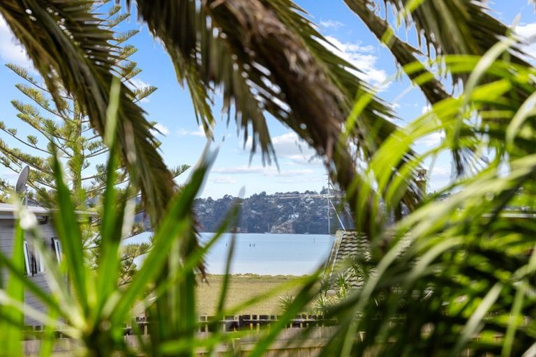 Photo of property in 43 Rewarewa Road, Te Atatu Peninsula, Auckland, 0610