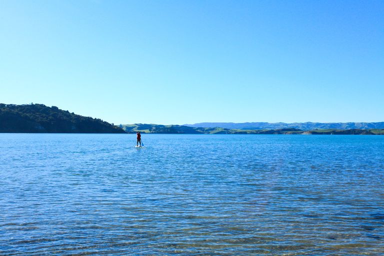 Photo of property in 45 Bay View Road, Raglan, 3225