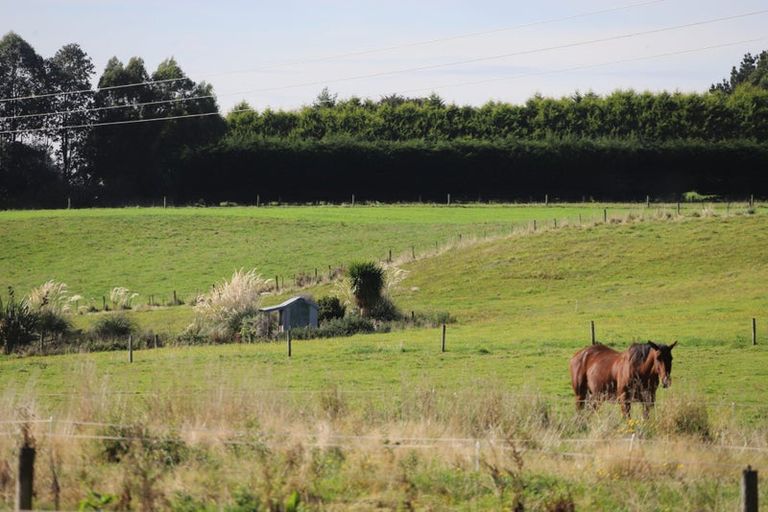 Photo of property in 500 Mill North, Roslyn Bush, Invercargill, 9876