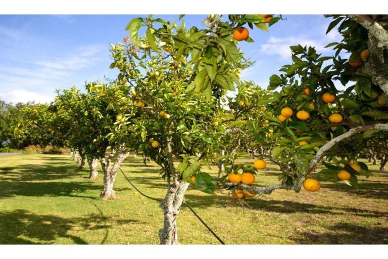 Photo of property in 1629b Springbank Road, Kerikeri, 0293