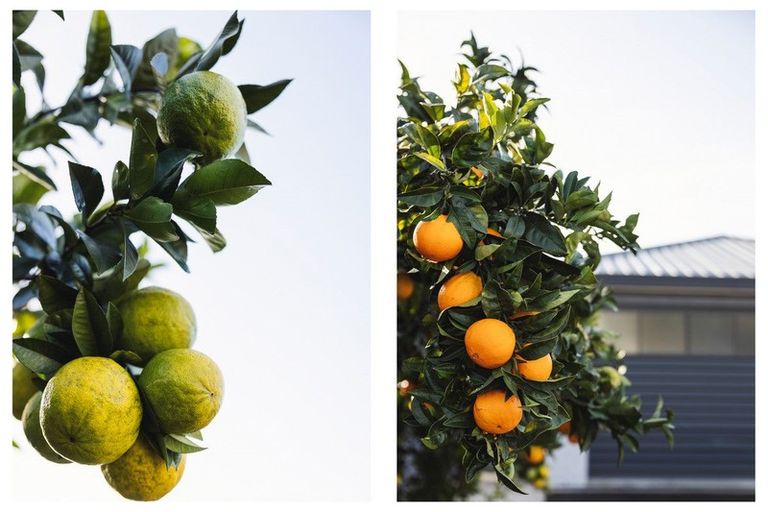 Photo of property in 54a Goods Road, Otumoetai, Tauranga, 3110