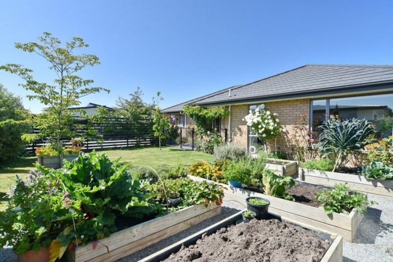 Photo of property in 17 Sincock Place, Kaiapoi, 7630