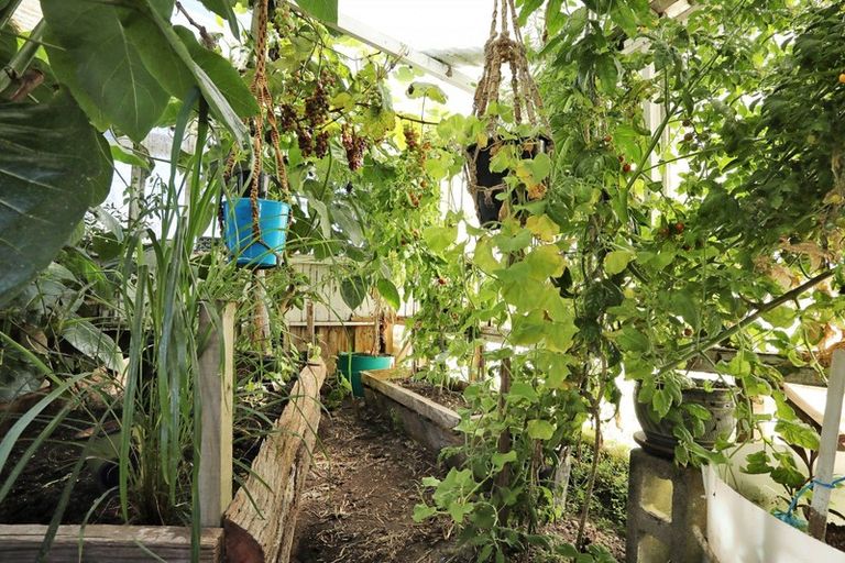 Photo of property in 17 Half Mile Road, Tuatapere, 9620