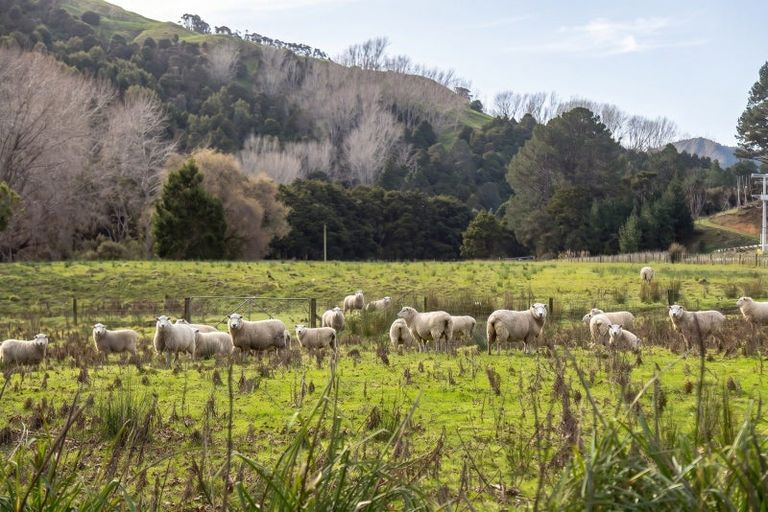 Photo of property in 427 Tinui Valley Road, Tinui Valley, Tinui, 5894