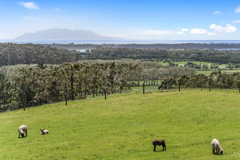 Photo of property in 201 Takatu Road, Tawharanui Peninsula, Warkworth, 0986