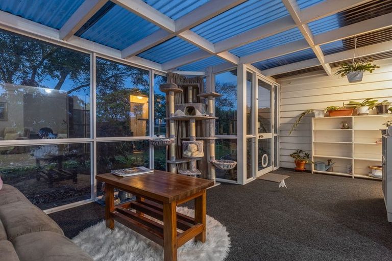 Photo of property in 74 Kennedy Drive, Levin, 5510