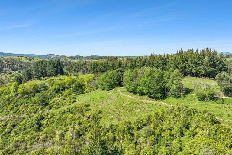 Photo of property in 233 Lloyd Valley Road, Thorpe, Motueka, 7196