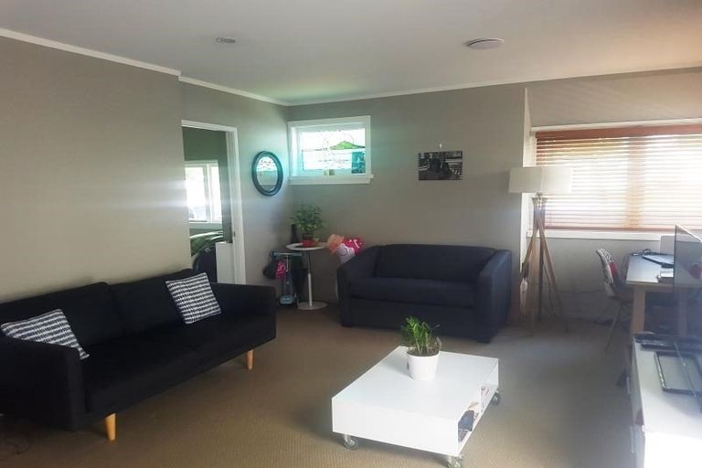 Photo of property in 40 Willoughby Street, Whitiora, Hamilton, 3200
