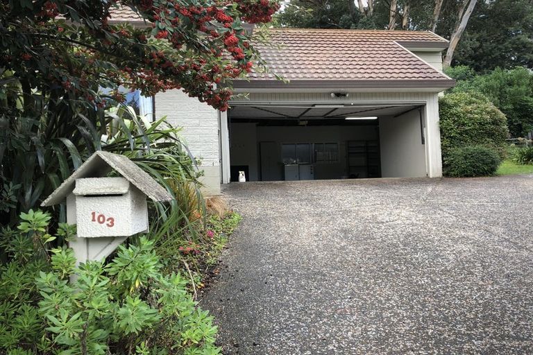 Photo of property in 103 James Cook Street, Havelock North, 4130