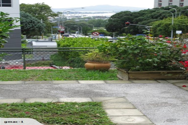 Photo of property in 1/129 Grafton Road, Grafton, Auckland, 1010