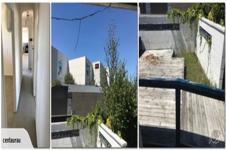 Photo of property in 56 Wake Street, Chartwell, Hamilton, 3210