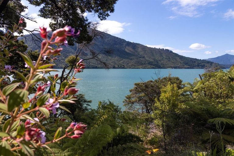Photo of property in 480 Moetapu Bay Road, Moetapu Bay, Picton, 7282