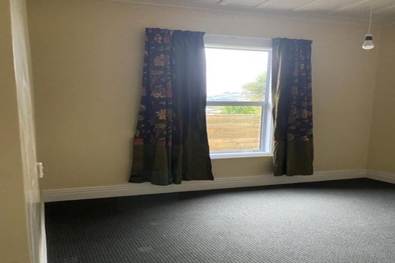 Photo of property in 87 Signal Hill Road, Opoho, Dunedin, 9010