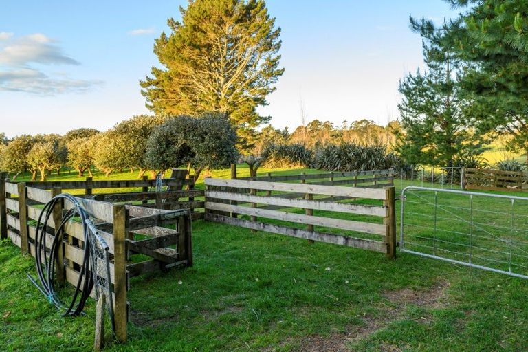 Photo of property in 771 Whakamarama Road, Whakamarama, Tauranga, 3179