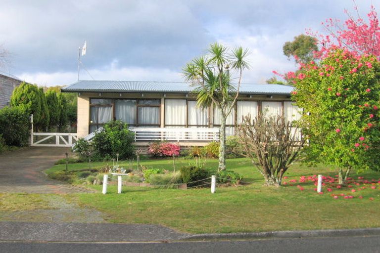 Photo of property in 115 Brook Place, Whangamata, 3620