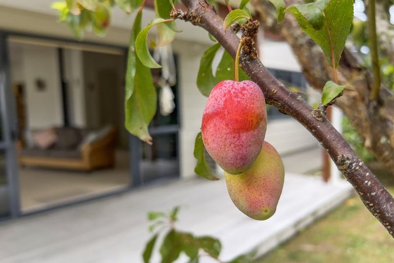 Photo of property in 10 Somners Way, Waipu, 0510