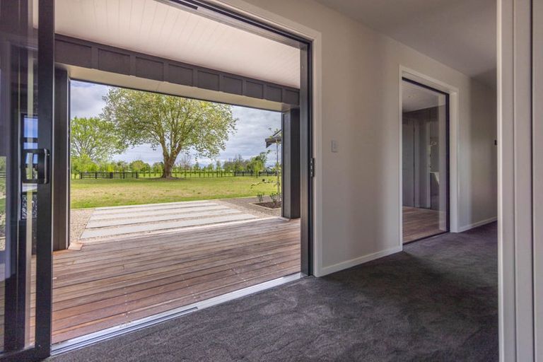 Photo of property in 7 Orchard Place, Matamata, 3472