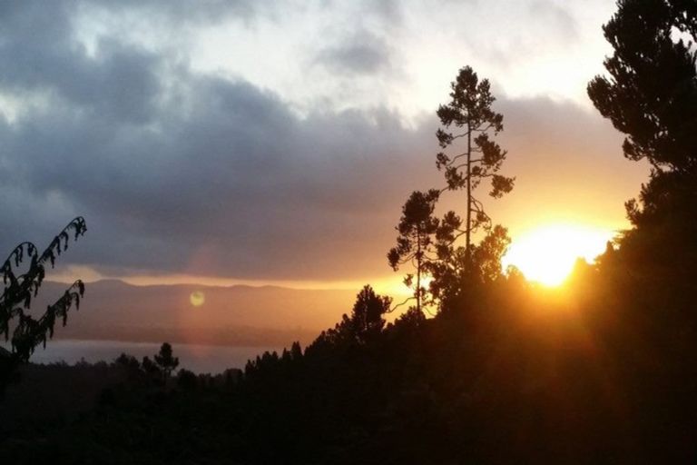 Photo of property in 9 Kauri Road, Birkenhead, Auckland, 0626