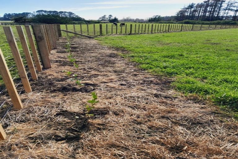 Photo of property in 177 Mountain Road, Sentry Hill, New Plymouth, 4373