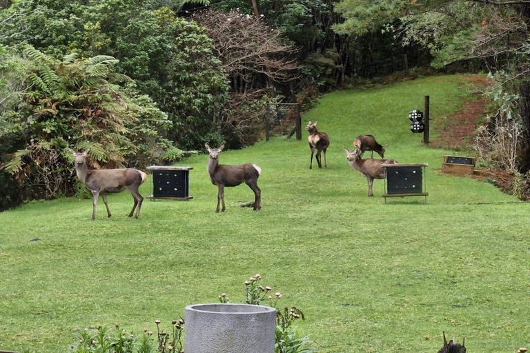 Photo of property in 1470 Akatarawa Road, Akatarawa Valley, Upper Hutt, 5372