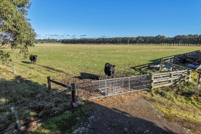 Photo of property in 77 Leslies Road, Cust, 7471