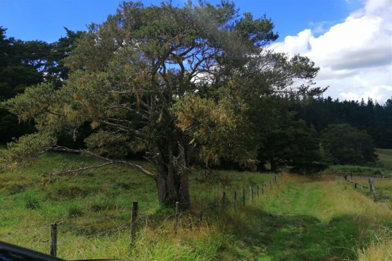 Photo of property in 246 Te Tio Road, Umawera, Okaihau, 0476