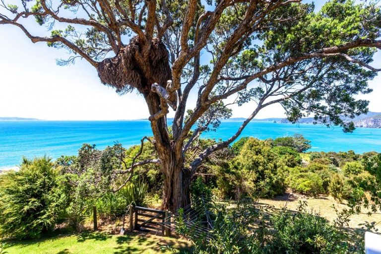 Photo of property in 102 Waihirere Drive, Tuateawa, Coromandel, 3583