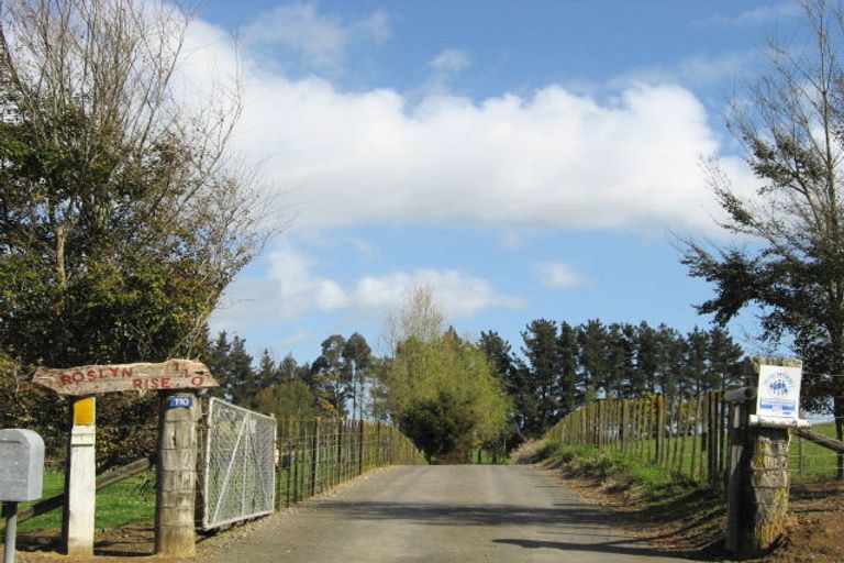 Photo of property in 110 Roslyn Road, Levin, 5510