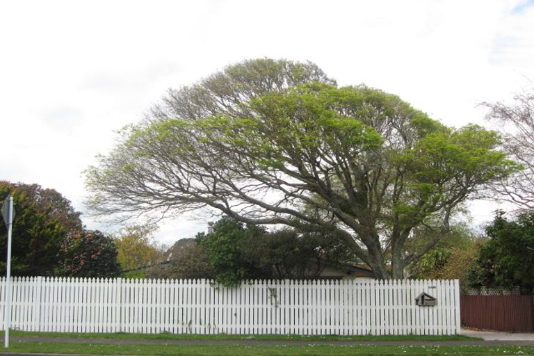 Photo of property in 143 Govett Avenue, Frankleigh Park, New Plymouth, 4310