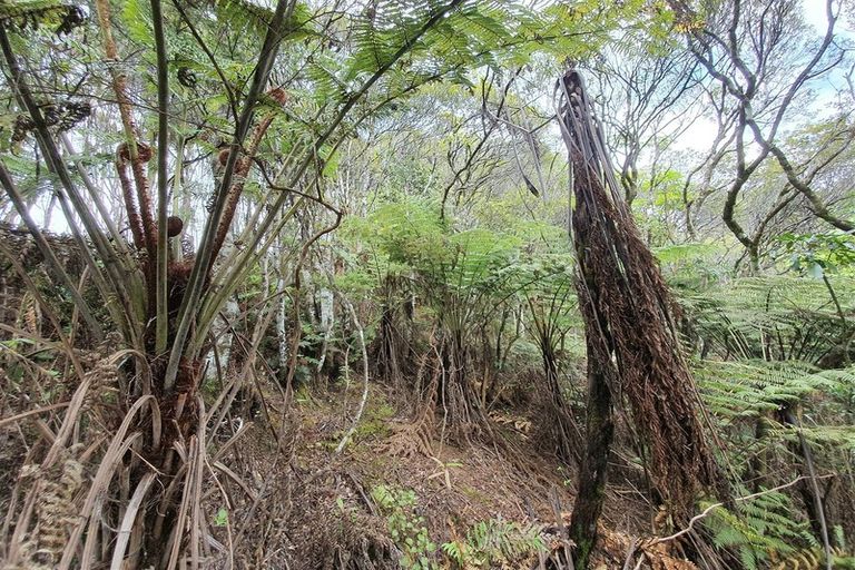 Photo of property in 574 Honeymoon Valley Road, Peria, Kaitaia, 0482