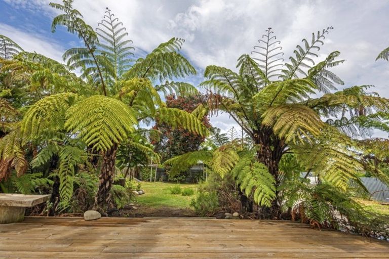 Photo of property in 31 Miro Street, Elgin, Gisborne, 4010