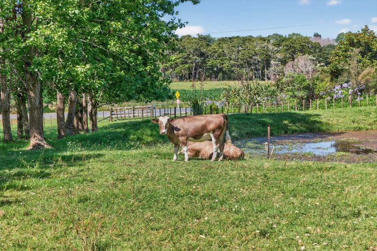 Photo of property in 386 South Road, Waipu, 0582