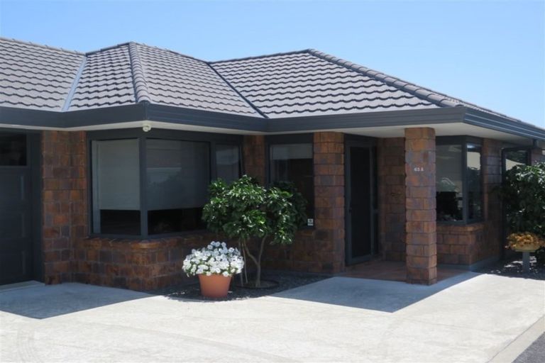 Photo of property in 63a Winchester Street, Levin, 5510