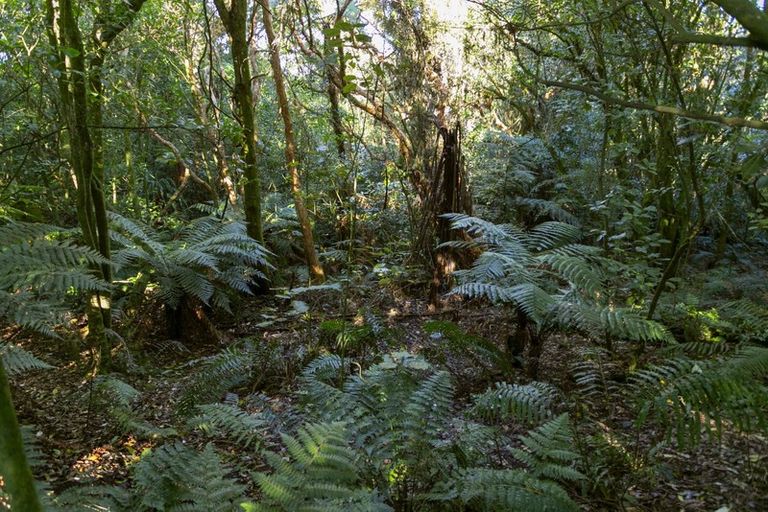 Photo of property in 4/67 Forest Road, Oruanui, Taupo, 3384